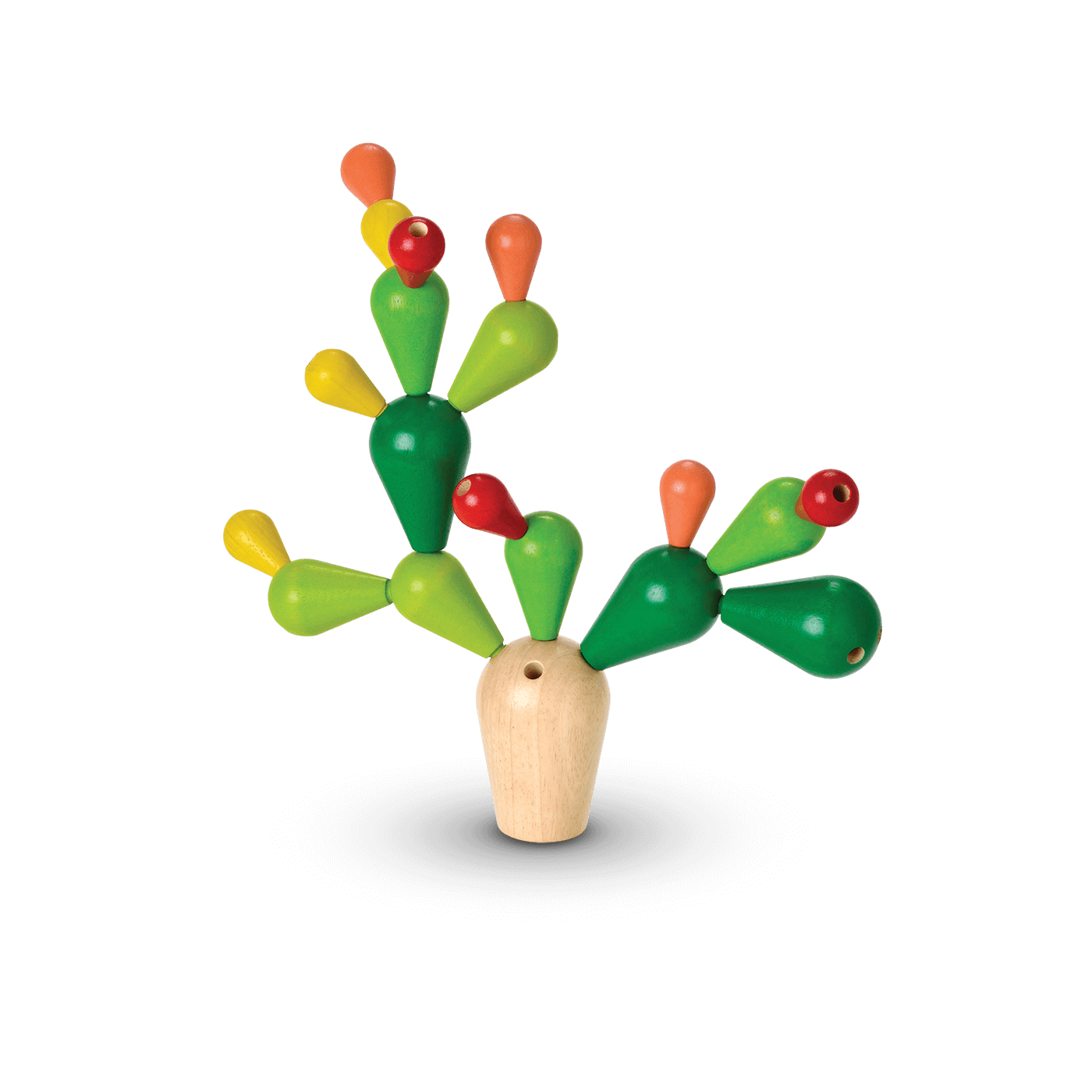 Balancierender Kaktus